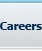 Career